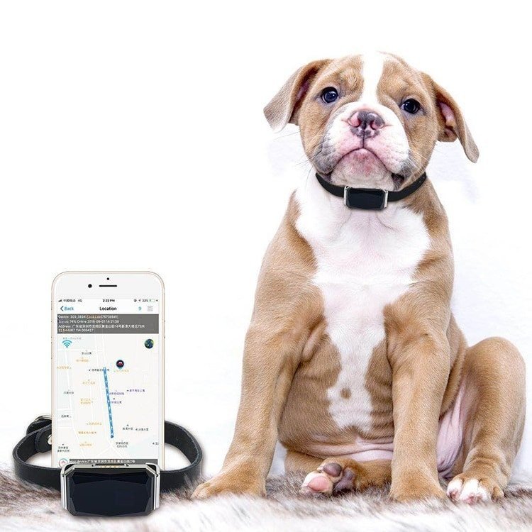 gps seklys antkaklis su gps gps sunimis